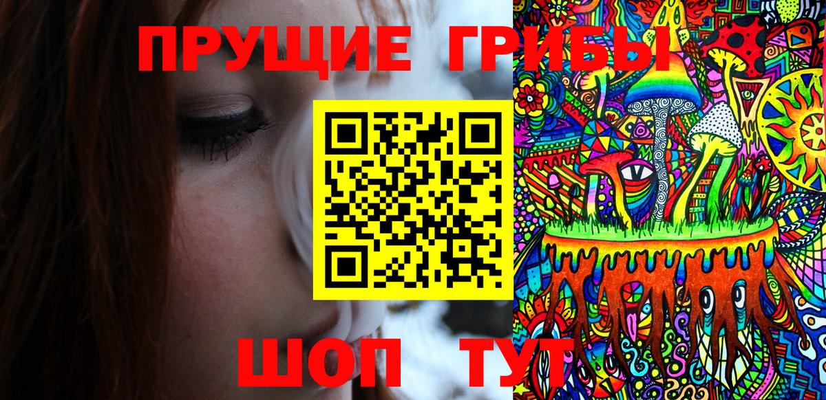 Галлюциногенные грибы MAGIC MUSHROOMS  где купить наркоту  Заринск 