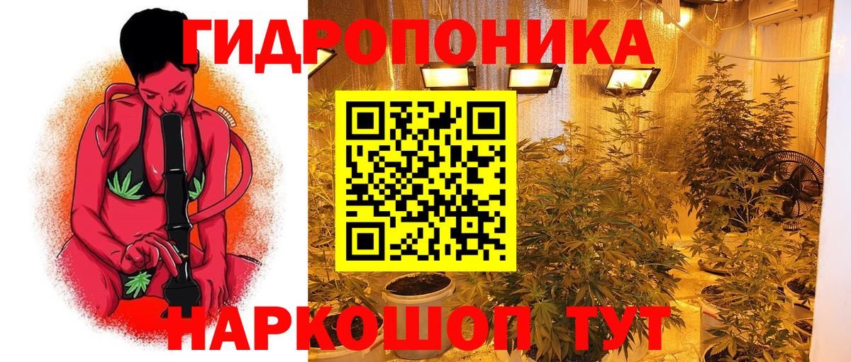 Конопля семена  Каннабис VHQ  Заринск  Канабис Bruce Banner 